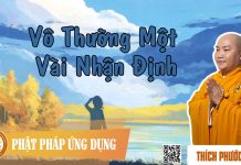 Vô Thường Một Vài Nhận Định – Thích Phước Tiến vo thuong mot vai nhan dinh thic