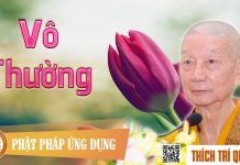 Vô Thường – Thích Trí Quảng vo thuong thich tri quang 1