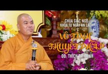Vô Tình Thuyết Pháp – Thích Trí Minh vo tinh thuyet phap thich tri mi