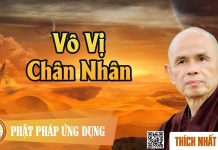 Vô Vị Chân Nhân – Thích Nhất Hạnh vo vi chan nhan thich nhat hanh