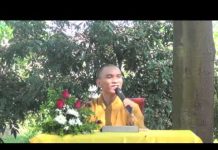 Vu Lan – Thích Thiện Tuệ vu lan thich thien tue