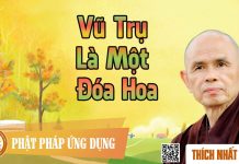 Vũ Trụ Là Một Đóa Hoa – Thích Nhất Hạnh vu tru la mot doa hoa thich nhat