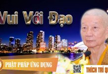 Vui Với Đạo – Thích Trí Quảng vui voi dao thich tri quang