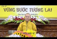 Vững Bước Tương Lai – Thích Nhật Từ vung buoc tuong lai thich nhat t