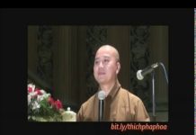 Vững Chãi Như Núi Xanh – Thích Pháp Hòa vung chai nhu nui xanh thich pha