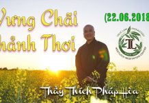 Vững Chãi – Thảnh Thơi – Thích Pháp Hòa vung chai thanh thoi thich phap