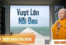 Vượt Lên Nỗi Đau – Thích Phước Tiến vuot len noi dau thich phuoc tie