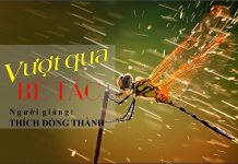 Vượt Qua Bế Tắc – Thầy Thích Đồng Thành vuot qua be tac thay thich dong
