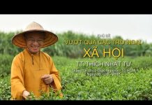Vượt Qua Các Trở Ngại Xã Hội – Thích Nhật Từ vuot qua cac tro ngai xa hoi thi
