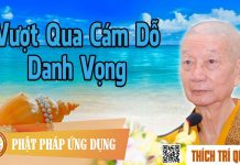 Vượt Qua Cám Dỗ Danh Vọng – Thích Trí Quảng vuot qua cam do danh vong thich