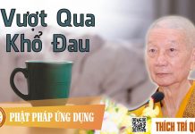 Vượt Qua Khổ Đau – Thích Trí Quảng vuot qua kho dau thich tri quang