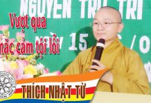 Vượt qua mặc cảm tội lỗi – Thích Nhật Từ – 06/06/2005 vuot qua mac cam toi loi thich n