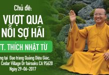 Vượt Qua Nỗi Sợ Hãi – Thích Nhật Từ vuot qua noi so hai thich nhat t