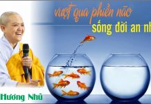 Vượt qua phiền não sống đời an nhiên – Thích Nữ Hương Nhũ vuot qua phien nao song doi an n