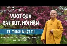 Vượt Qua Ray Rứt, Hối Hận – Thích Nhật Từ vuot qua ray rut hoi han thich n