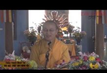 Vượt Qua Sống Vội – Thích Nhật Từ vuot qua song voi thich nhat tu