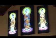 Vượt Qua Thị Phi – Thích Minh Thành vuot qua thi phi thich minh than
