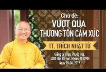Vượt Qua Thương Tổn Cảm Xúc – Thích Nhật Từ vuot qua thuong ton cam xuc thic