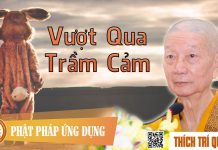 Vượt Qua Trầm Cảm – Thích Trí Quảng vuot qua tram cam thich tri quan