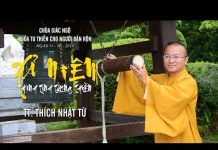 Xả Niệm Thanh Tịnh Trong Thiền – Thích Nhật Từ xa niem thanh tinh trong thien t