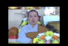 Xây Dựng Tịnh Độ Phần 1 – Thích Nữ Như Lan xay dung tinh do phan 1 thich nu