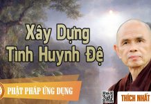 Xây Dựng Tình Huynh Đệ – Thích Nhất Hạnh xay dung tinh huynh de thich nha