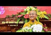 Xóa Bỏ Buồn Đau – Thích Nhật Từ xoa bo buon dau thich nhat tu