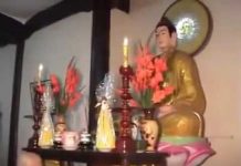 Xuân Bao Dung Và Độ Lượng – Thích Thái Hòa xuan bao dung va do luong thich