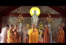 Xuân Và Tâm Lực Bồ Đề – Thích Thái Hòa xuan va tam luc bo de thich thai
