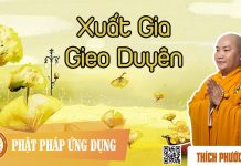 Xuất Gia Gieo Duyên – Thích Phước Tiến xuat gia gieo duyen thich phuoc