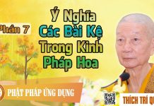 Ý Nghĩa Các Bài Kệ Trong Kinh Pháp Hoa phần 7 – Thích Trí Quảng y nghia cac bai ke trong kinh ph 1