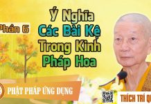 Ý Nghĩa Các Bài Kệ Trong Kinh Pháp Hoa phần 6 – Thích Trí Quảng y nghia cac bai ke trong kinh ph 2