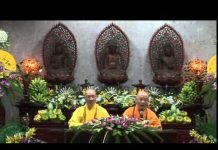 Ý Nghĩa Chữ Không Trong Đạo Phật – Thích Thiện Thuận y nghia chu khong trong dao phat
