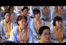 Ý Nghĩa Con Số 7 Trong Kinh Phật – Thích Trí Huệ y nghia con so 7 trong kinh phat