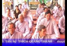 Ý Nghĩa Của Việc Đi Chùa Phóng Sanh – Thích Quang Thạnh y nghia cua viec di chua phong s