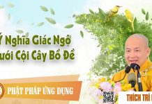 Ý Nghĩa Giác Ngộ Dưới Cội Bồ Đề (KT62) – Thầy – Thích Trí Huệ y nghia giac ngo duoi coi bo de
