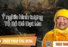 Ý Nghĩa Hình Tượng Tổ Bồ Đề Đạt Ma – Thích Thanh Từ y nghia hinh tuong to bo de dat