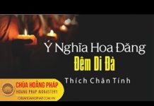 Ý Nghĩa Hoa Đăng Đêm Di Đà – Thích Chân Tính y nghia hoa dang dem di da thich