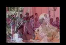 Ý Nghĩa Hoa Sen – Thích Giác Hạnh y nghia hoa sen thich giac hanh