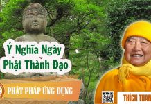 Ý Nghĩa Ngày Phật Thành Đạo – Thích Thanh Từ y nghia ngay phat thanh dao thic