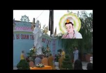 Ý Nghĩa Niệm Phật Nhất Bái – Thích Tuệ Hải y nghia niem phat nhat bai thich