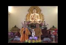 Ý Nghĩa Phật Đản Sanh – Thích Tuệ Hải y nghia phat dan sanh thich tue