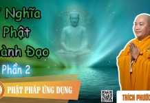Ý Nghĩa Phật Thành Đạo Phần 2 – Thích Phước Tiến y nghia phat thanh dao phan 2 th