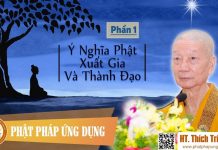 Ý Nghĩa Phật Xuất Gia Thành Đạo Phần 1 – Thích Trí Quảng y nghia phat xuat gia thanh dao