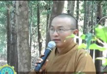 Ý nghĩa thành đạo – Thích Nhật Từ y nghia thanh dao thich nhat tu