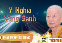 Ý Nghĩa Vãng Sanh – Thích Trí Quảng y nghia vang sanh thich tri quan