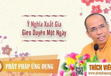 Ý Nghĩa Xuất Gia Gieo Duyên Một Ngày (KT79) – Thích Viên Trí y nghia xuat gia gieo duyen mot