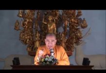 Ý Niệm Và Thực Tại Trong Thiền Phật Giáo – Thích Tâm Đức y niem va thuc tai trong thien p