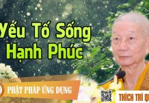 Yếu Tố Sống Hạnh Phúc – Thích Trí Quảng yeu to song hanh phuc thich tri