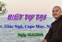 Biết tự tại – Thích Pháp Hòa biet tu tai thich phap hoa